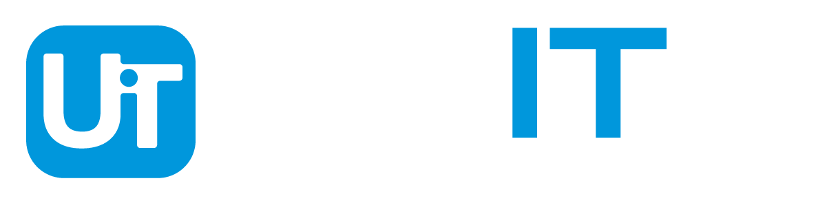 Unite Information Technology Services Logo Alternate